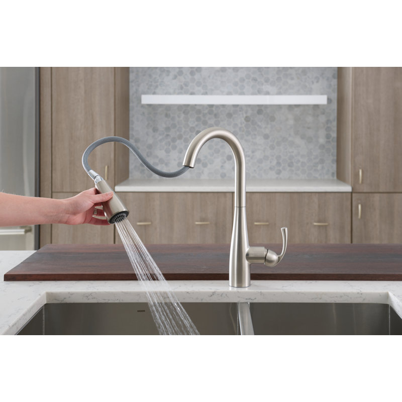 Moen Essie PullDown Kitchen Faucet with Power Clean Technology and